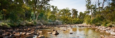 rocky creek