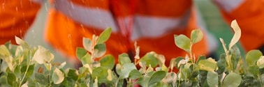 Small green vegetation in front of an orange, hi-vis shirt, with small drops of water falling down